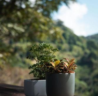 Chiang Rai Province Villa | Hidden for Rest