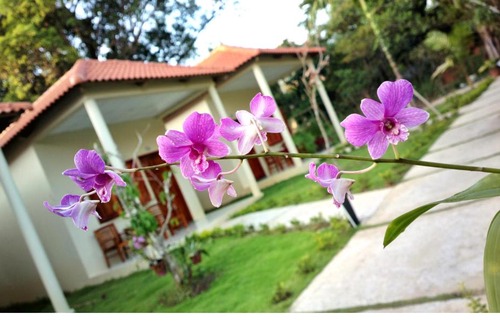 Duong Dong House | Highland Bungalow