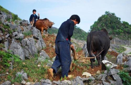 Dong Van House | Hmong Village Homestay Mountain View & Trekking