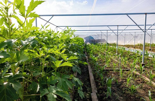 Ham Thuan Nam RV Rental | Hoàng Long Tropical - Farmstay