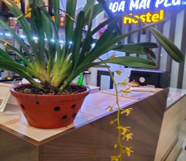 Dong Hoi Hotel | HOA MAI Plus Hostel