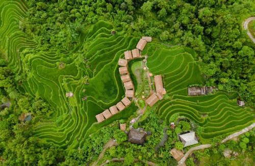 Thong Nguyen Hotel | Hoang Su Phi Lodge