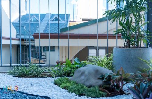 Cong Vi House | HoLo Giang Vo Hanoi - Serviced HomeStay