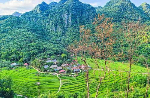 Pu Long Nature Reserve Apartment | homestay chill Pu luông