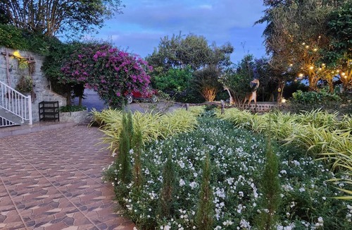 Di Linh Hotel | Homestay Lê Đinh House
