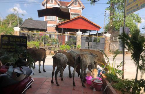 Ong Lang Hostel | Homestay Mia Ông Lang Diệu Nhàn