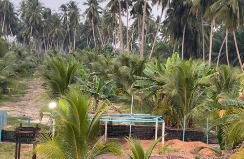 Kampung Sungai Burong House | Homestay Naim Sabak Bernam