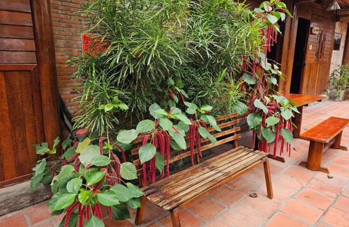 Long Ho House | Homestay Nhà Dừa CocoHome Vĩnh Long