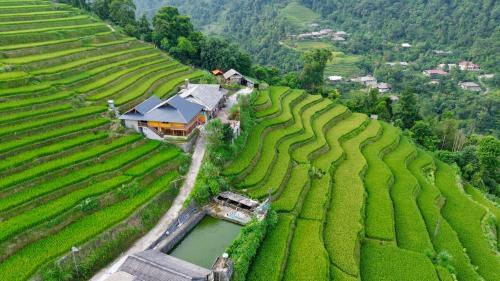 Vi Xuyen House | Homestay Quyền Linh-Tour Tây Côn Lĩnh