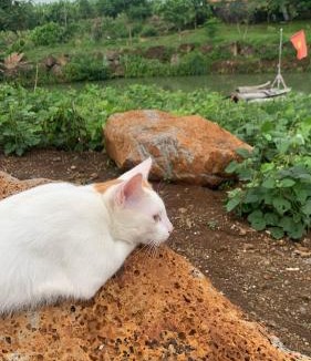 Trang Bom House | Homestay tay