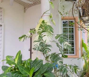 Sungai Buloh House | Homestay VillaSolihin Sungai Buloh