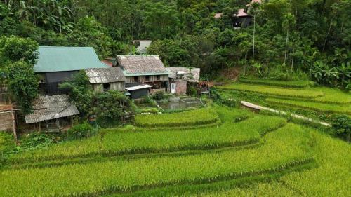 Pu Long Nature Reserve Apartment | Homestay wiu field