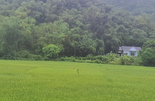 Mai Chau Apartment | Homestays Gia Hưng
