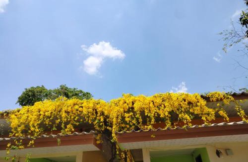 Kaeng Khoi Hotel | Hongthong