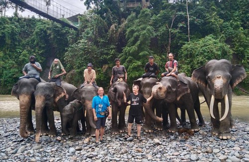 Bukit Lawang Hostel | Hostel ∙ 8 guests