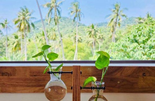 Koh Tao Hostel | Hostel ∙ 8 guests