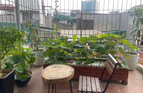 Hai Ba Trung Hostel | hostel 86 Hoang Mai