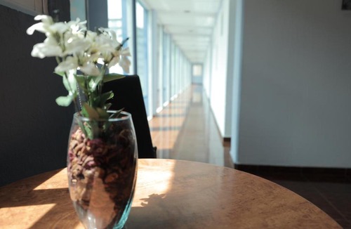 Narvarte Poniente Hotel | Hotel Plaza Delta