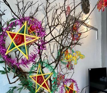 Ninh Kieu House | HOUSE FOR ALL - CANTHO HOMESTAY