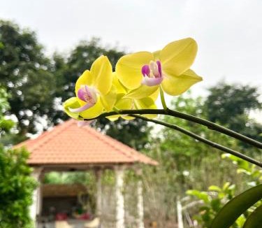 Vinh Yen House | J'adore Garden House Vinh Yen