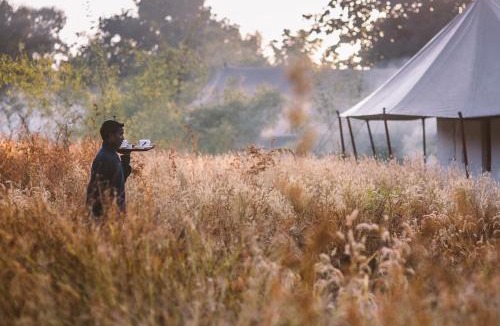 Turiya Other | Jamtara Wilderness Camp - Pench National Park