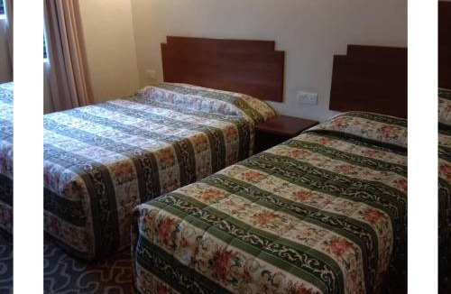 Brinchang Hotel | Jasmine Hotel