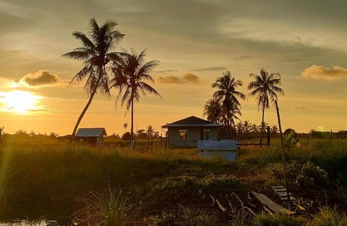 Daro District House | Jelutong Homestay Pulau Bruit