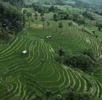 Ha Giang Hostel | Johnny Tran Travel, Homestay, Easy Rider and Rental Motorbike