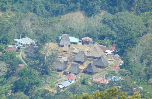Moni Other | JONATHAN CAMPING GROUND