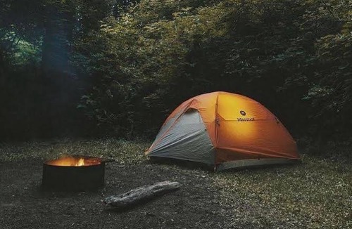 Moni Other | JONATHAN CAMPING GROUND