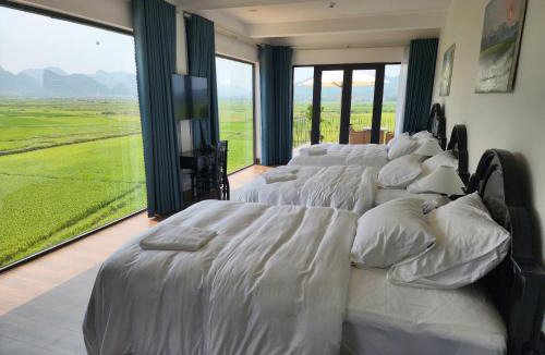 Son Trach Hotel | Karst Residence Phong Nha