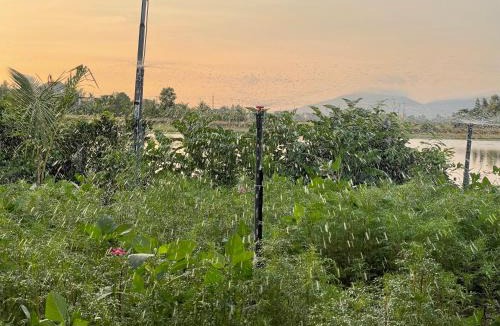 Dong Hoa House | Katie's homestay