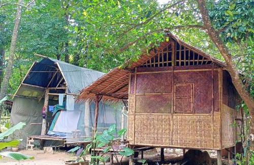 Khlong Sok Other | Khai jungle wassanacamp