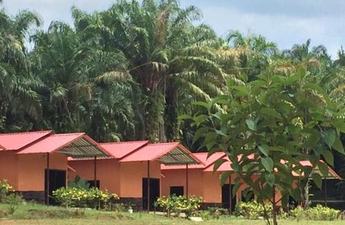Khlong Sok Resort | Khao Sok Evergreen House