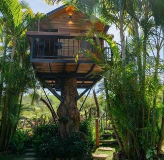 Bao Loc House | Khu Nghỉ Dưỡng Ngôi Làng Trong Tranh, Bảo Lộc