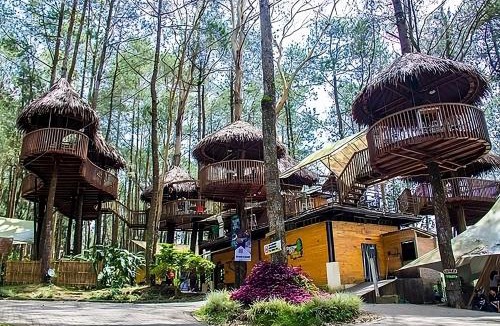 Getasan Other | Kopeng Treetop Adventure Park