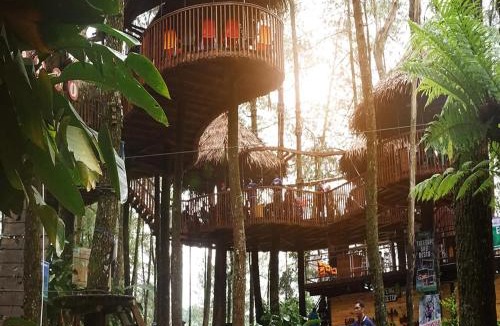 Getasan Other | Kopeng Treetop Adventure Park