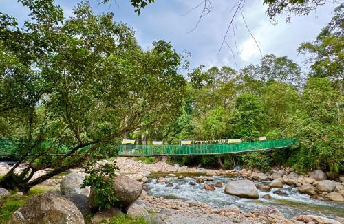 Tapah Ski Chalet | Kuala Woh Resort