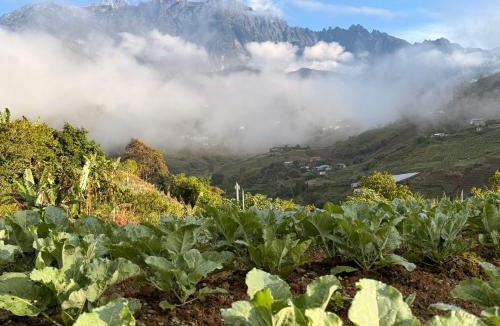 Kundasang House | Kundasang Pink Homestay