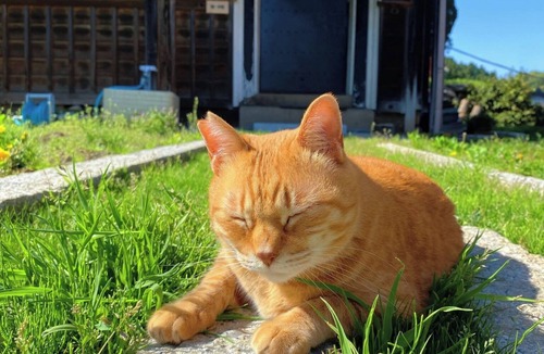 Nagahama House | Kuraika Exclusive reservation for one group per /Nagahama Shiga