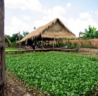 Krong Pak Hotel | Lang's Pá Mé - Homestay - Bungalow - Camping Krông Pắk, Buôn Mê Thuột, Đắk Lắk, Việt Nam