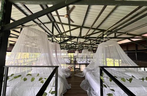 Tawau Hostel | Leafty Lodge 绿叶小屋 - Mountain Top Fairy-Style Dormitory Beds at Eco Valley Retreat Balung 豐之谷
