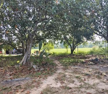 Changlun House | Lembah Palas Homestay