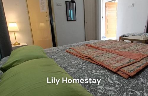 Kampung Permatang Badak House | Lily's Guesthouse Kuantan City