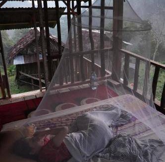 Bukit Lawang Cabin | Lodge ∙ 6 guests