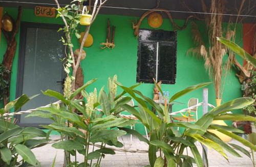 Ganh Dau Bed & Breakfast | Lucky Home - Boutique Tropical Hideaway