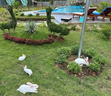 Phuoc Tan Hotel | Lucky Star Resort