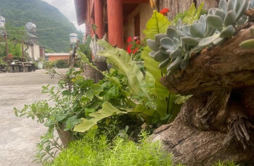 Meo Vac Hostel | Mùa Pửi Lô lô homestay