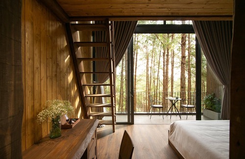 Da Lat Resort | Mơ Stay Forest Resort