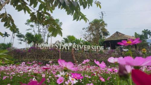 Thuong Xuan Apartment | Mạ Homestay Riverside